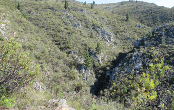 Tranquility Trail not including waterfall (Yellow)